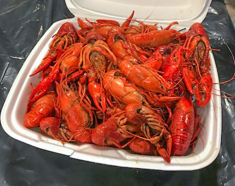 Louisiana Crawfish – Malyn Grace