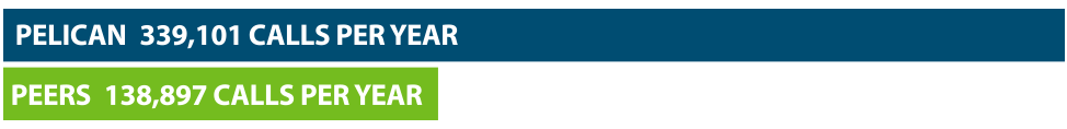 Pelican State CU Calls per Year