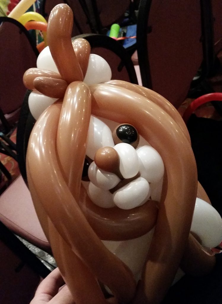 Stephanie Morace of Balloonatics Shih Tzu Balloon Art