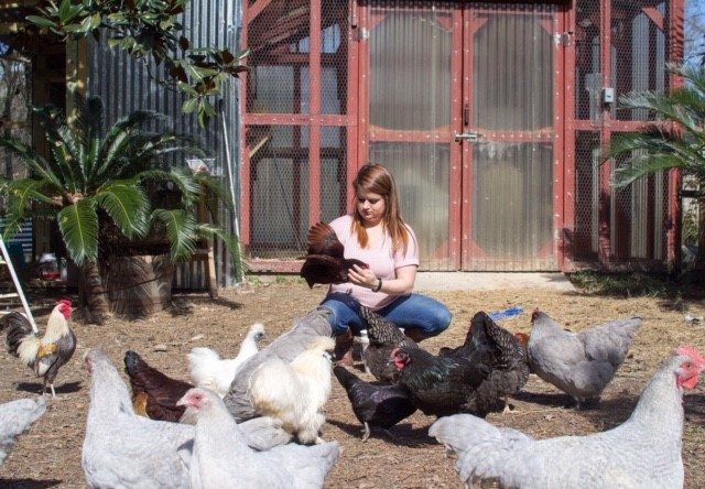 https://pelicanstateofmind.com/wp-content/uploads/2019/03/Kirsten-and-a-Flock-of-Chickens.jpg