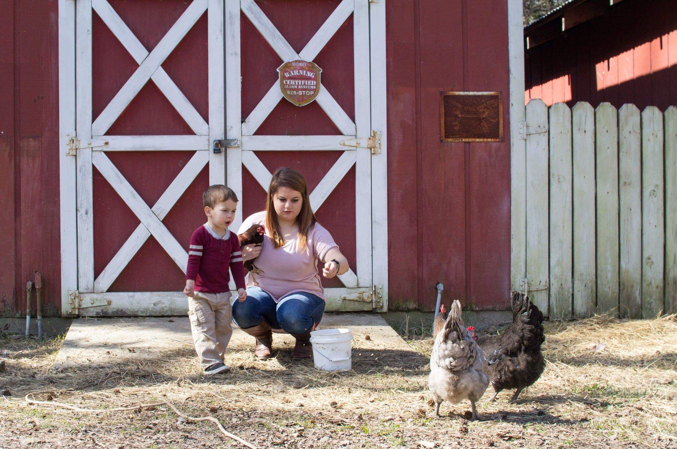 New chicken mom with a crooked beak girl - got this EE at Rural