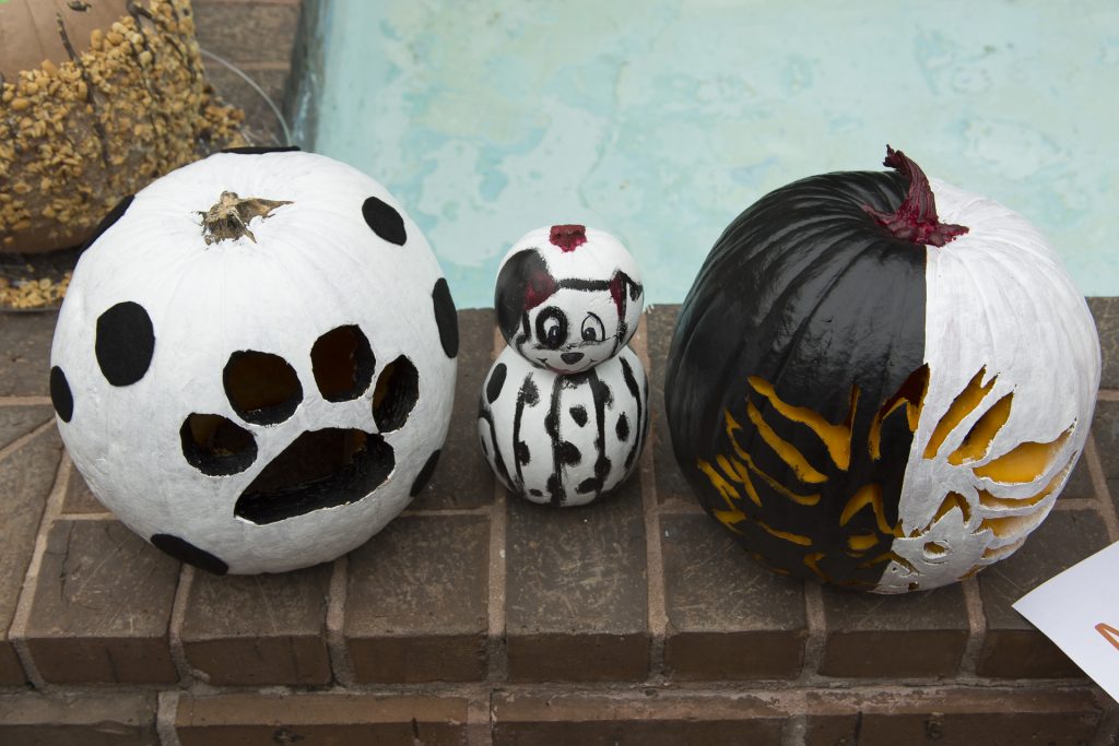 24 Creative Pumpkin Decorating Ideas from the Pelican Family