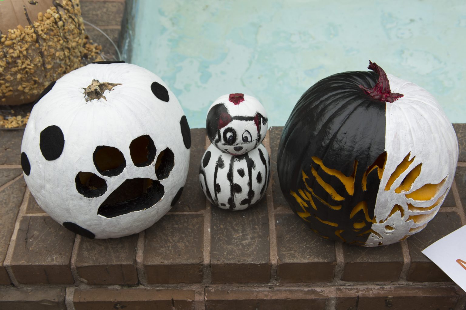 24-creative-pumpkin-decorating-ideas-from-the-pelican-family